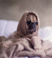 汕尾有这样的手机号码，留不住钱，你中枪了吗？