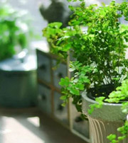 汕尾专属于你的开运指南，助你鸿运当头福满身！