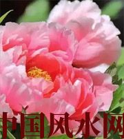 汕尾预示你财运上升，姻缘可成的梦境，快来看看吧！