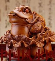 汕尾解读金蟾最合适的位置，这样摆放更招财！